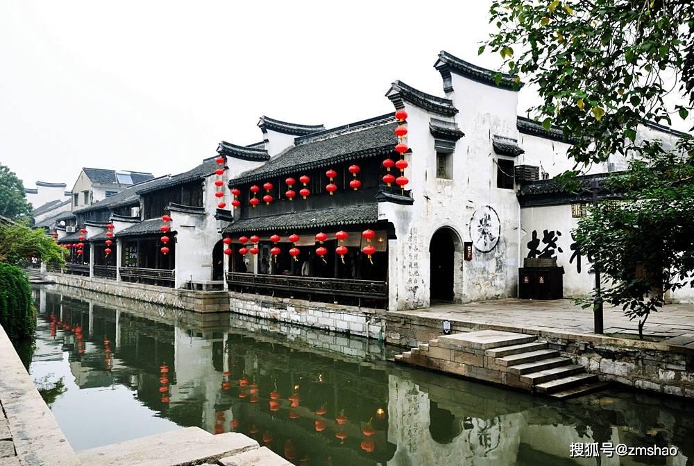 金刚鹦鹉逃生